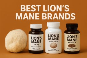 Best Lion's Mane Brands