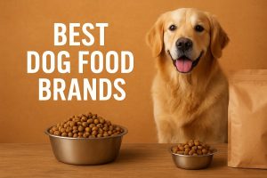 best dog food brands