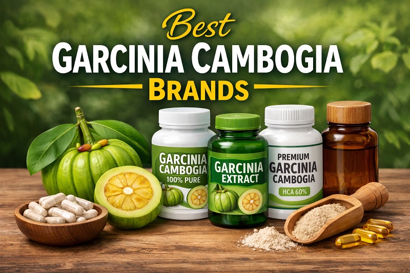 best garcinia cambogia brands