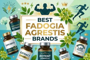 Best Fadogia Agrestis Brands