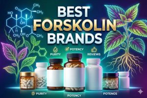 Best Forskolin Brands