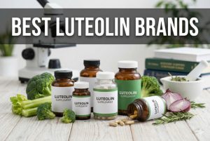 Best Luteolin Brands