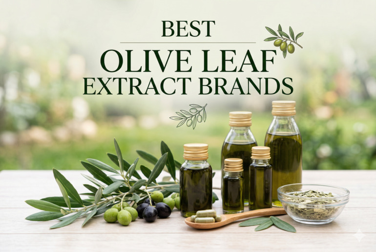 Best Olive Leaf Extract Brands